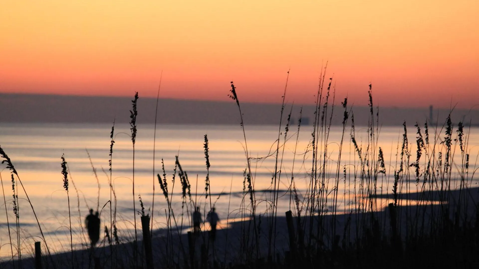 Ariel Dunes II 109 Destin